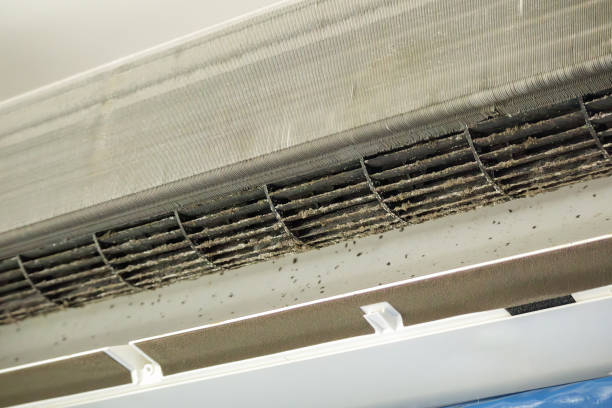 Best Affordable Air Duct Cleaning  in Osceola, IN
